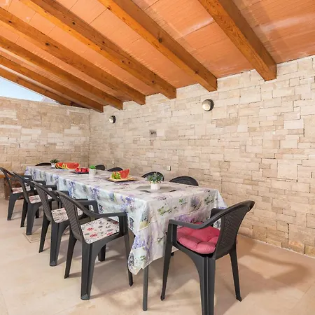 Apartment Pet Friendly In With Kitchen